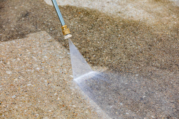 Best Dumpster Area Cleaning  in Batavia, NY